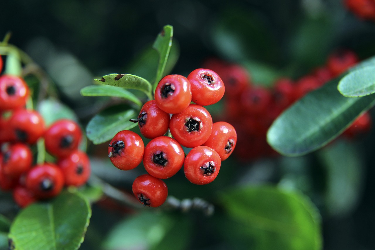 總而言之 總而言之