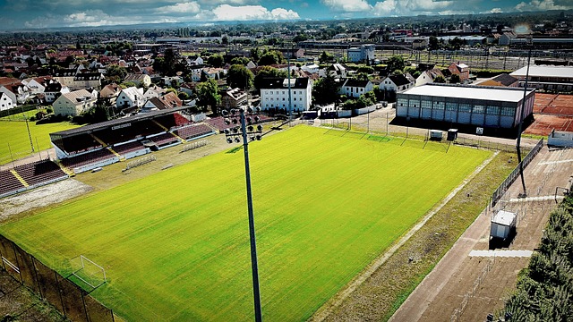 在综合分析 在综合分析