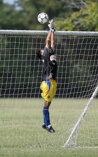 再次证实了 再次证实了