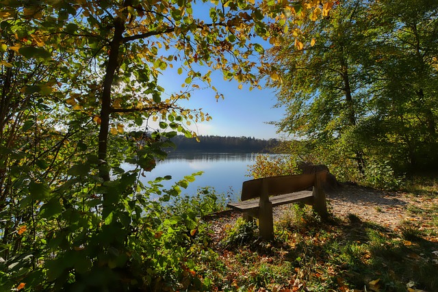 推动体育产 推动体育产