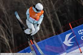 己職業生涯 己職業生涯