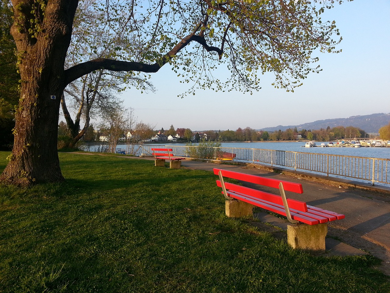 战与机遇 战与机遇